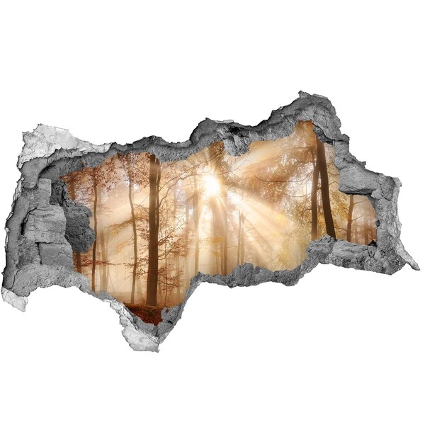 Pegatina decorativa agujero en la pared 3d Paso Forestal del Sol
