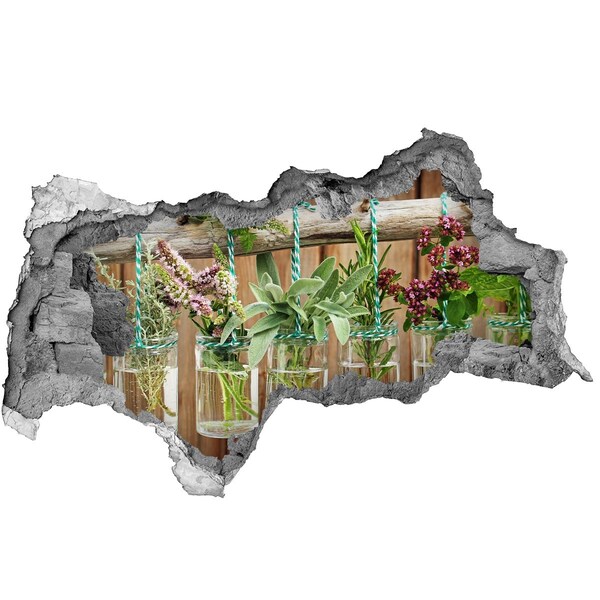 Fotomural autoadhesivo efecto agujero 3d Jardín de hierbas en frascos