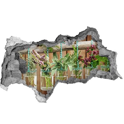 Fotomural autoadhesivo efecto agujero 3d Jardín de hierbas en frascos