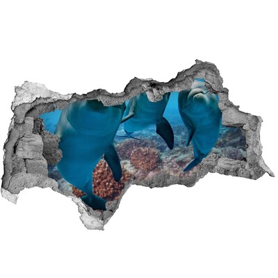 Vinilo efecto 3d pared rota irregular Delfines en un arrecife de coral