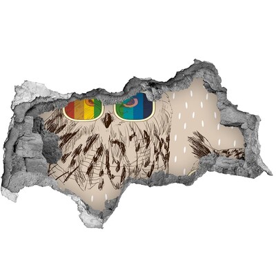 Dziura 3d fototapeta naklejka Oko sowy w dziurze w ścianie