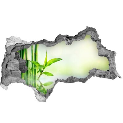 Fotomural autoadhesivo efecto agujero 3d Paraíso verde con bambú