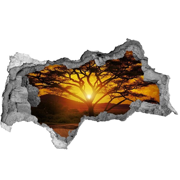 Fotomural autoadhesivo efecto agujero 3d Atardecer en la sabana africana