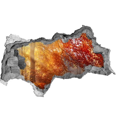 Fotomural autoadhesivo efecto agujero 3d Otoño dorado en el bosque