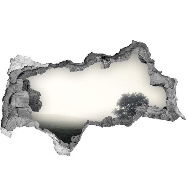 Pegatina decorativa agujero en la pared 3d Un claro brumoso con un árbol solitario.