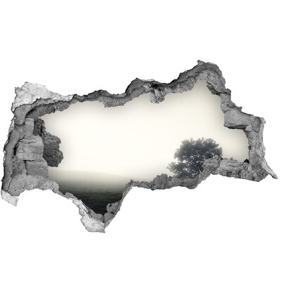 Pegatina decorativa agujero en la pared 3d Un claro brumoso con un árbol solitario.