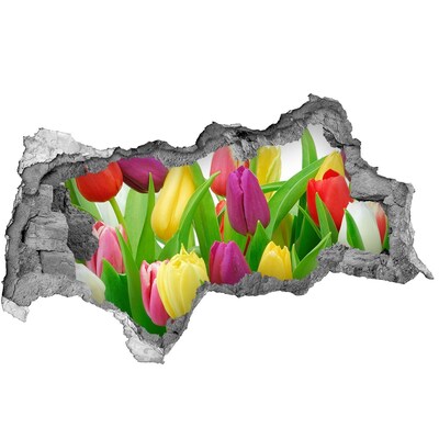 Pegatina decorativa agujero en la pared 3d Un paraíso de flores con tulipanes.