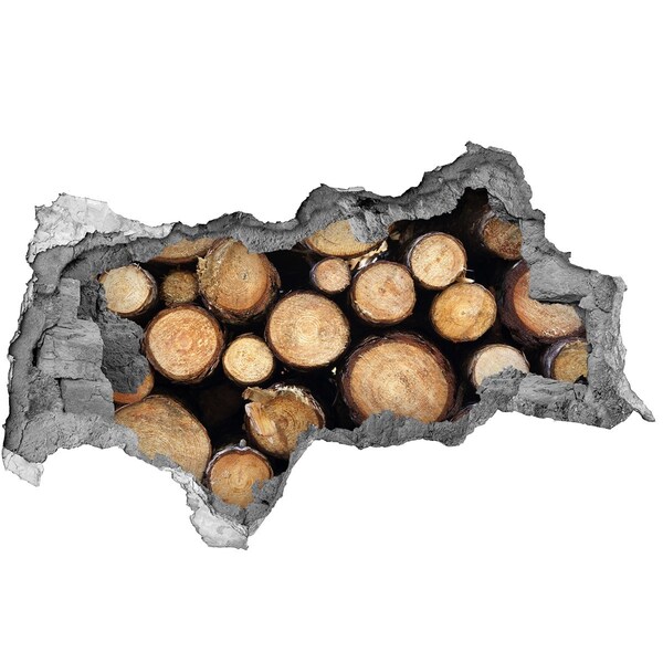 Vinilo adhesivo boquete en la pared rota Madera en un agujero en la pared