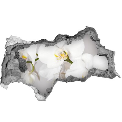 Fotomural autoadhesivo efecto agujero 3d Flores en hormigón