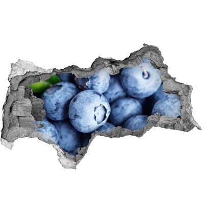 Vinilo efecto 3d pared rota irregular Bayas en un agujero de hormigón