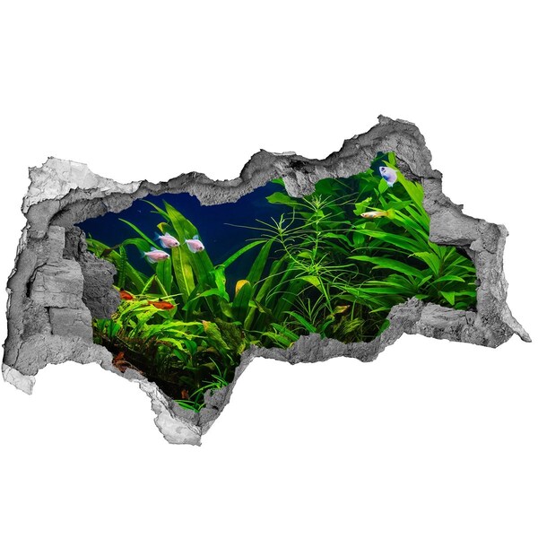 Dziura 3d w ścianie naklejka Podwodny świat w akwarium