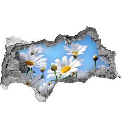 Fotomural autoadhesivo efecto agujero 3d Un paraíso de flores detrás del muro.
