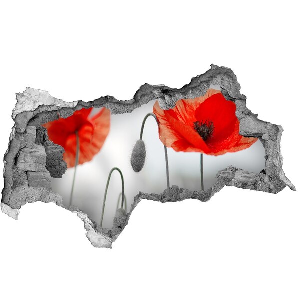 Vinilo adhesivo boquete en la pared rota Flores en un agujero en la pared