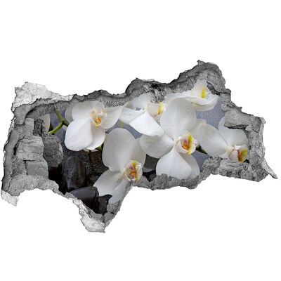 Pegatina decorativa agujero en la pared 3d Flores de orquídea en agua