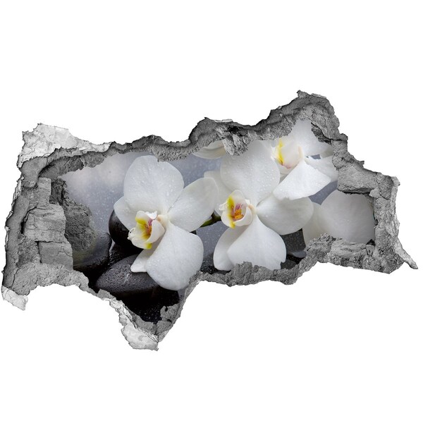 Fotomural autoadhesivo efecto agujero 3d Orquídeas en hormigón
