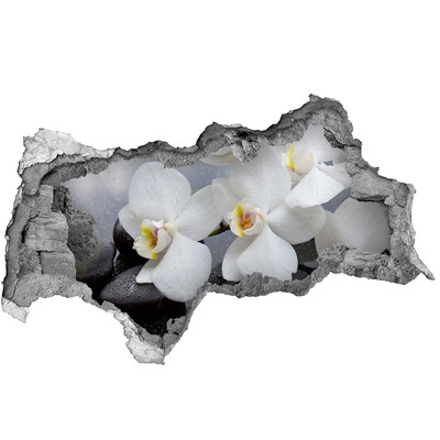 Fotomural autoadhesivo efecto agujero 3d Orquídeas en hormigón