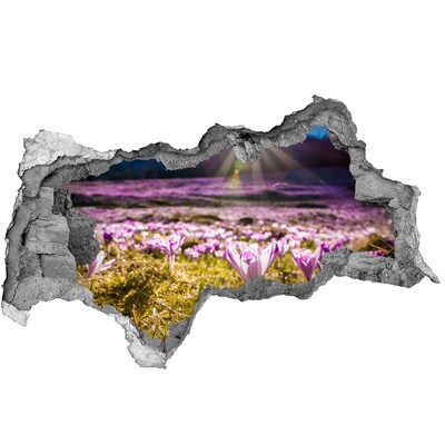 Fotomural autoadhesivo efecto agujero 3d Un campo de flores bajo el sol