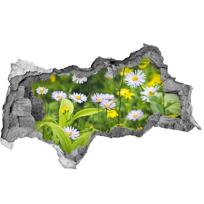 Pegatina decorativa agujero en la pared 3d Un paraíso de flores detrás del muro.