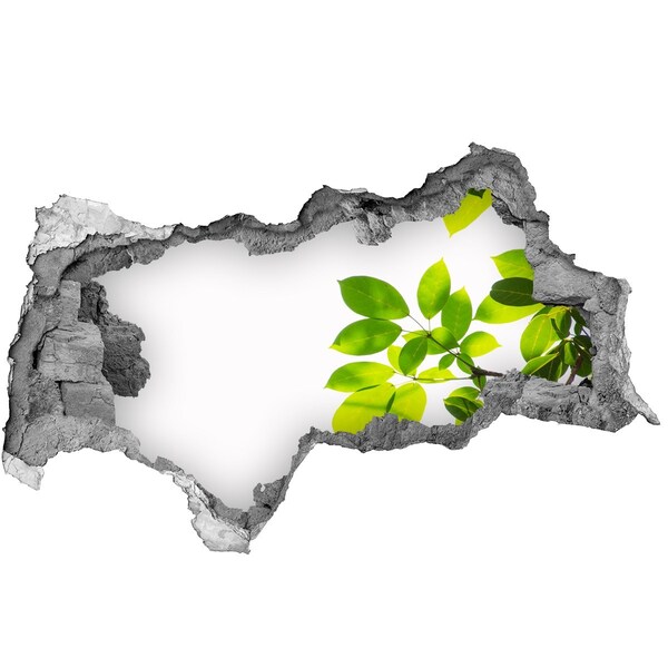 Samoprzylepna naklejka fototapeta Zielona oaza za ścianą