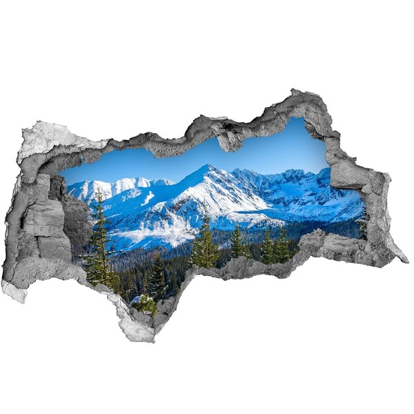 Fotomural autoadhesivo efecto agujero 3d paisaje de montaña invernal
