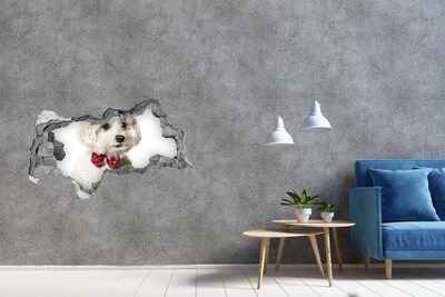Pegatina decorativa agujero en la pared 3d Perro con suéter atravesando un agujero en la pared