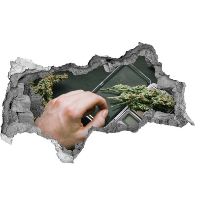 Vinilo efecto 3d pared rota irregular Peso con marihuana