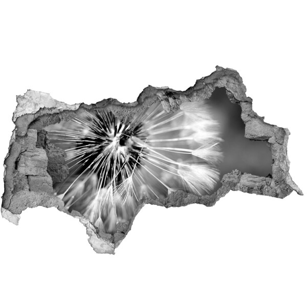Fotomural autoadhesivo efecto agujero 3d Dientes de león en blanco y negro