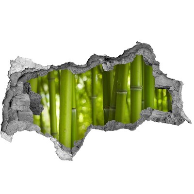 Vinilo adhesivo boquete en la pared rota Bosque de bambú verde