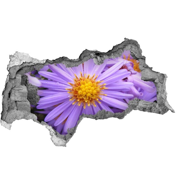 Vinilo efecto 3d pared rota irregular Flor en hormigón