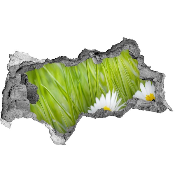 Fotomural autoadhesivo efecto agujero 3d Una flor en un jardín verde.