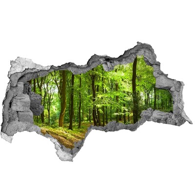 Fotomural autoadhesivo efecto agujero 3d Bosque verde bajo los rayos del sol