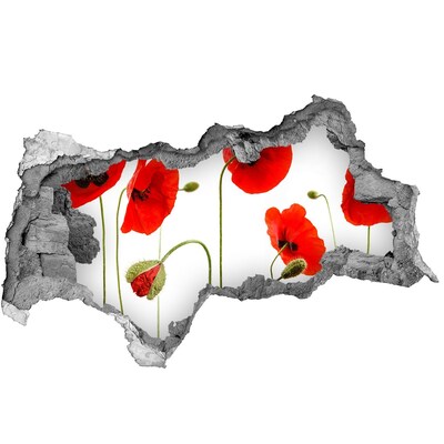 Pegatina decorativa agujero en la pared 3d Flores de amapola en un agujero en la pared