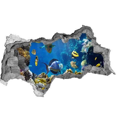 Pegatina decorativa agujero en la pared 3d El mundo submarino del arrecife de coral