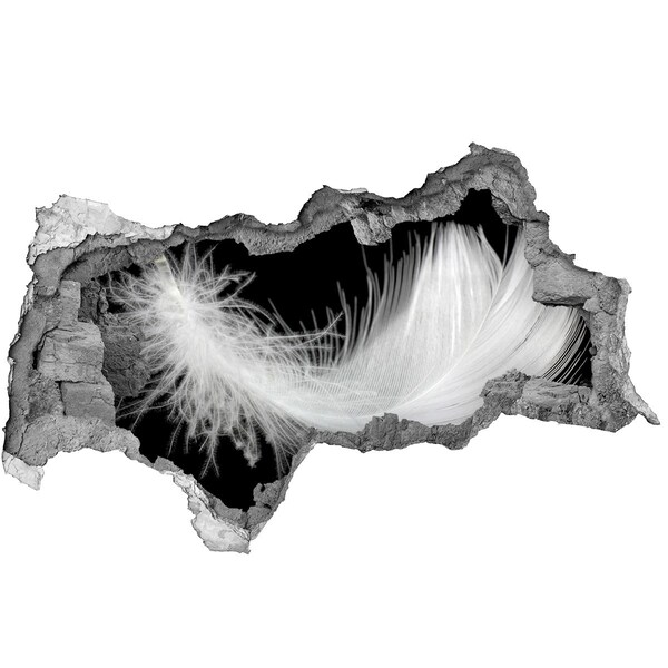 Fototapeta dziura na ścianę Pióro w dziurze w ścianie