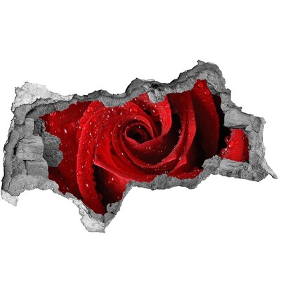 Vinilo adhesivo boquete en la pared rota Flor en hormigón