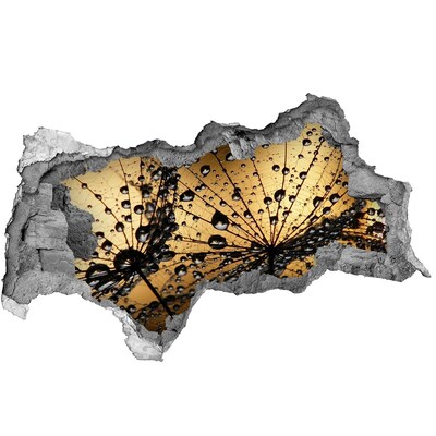 Pegatina decorativa agujero en la pared 3d Gotas sobre las hojas