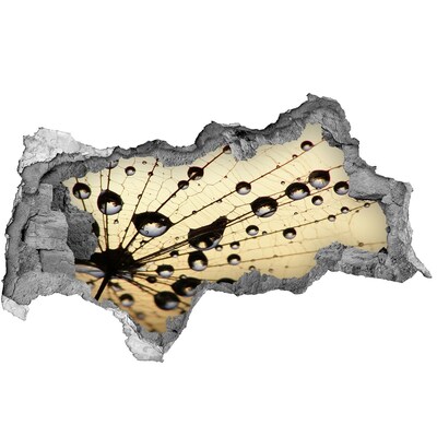 Vinilo efecto 3d pared rota irregular Gotas de agua en el ala de una mariposa