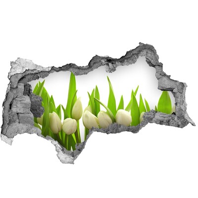 Vinilo adhesivo boquete en la pared rota Flores en el jardín