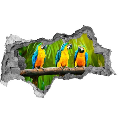 Fotomural autoadhesivo efecto agujero 3d Loros tropicales en la selva