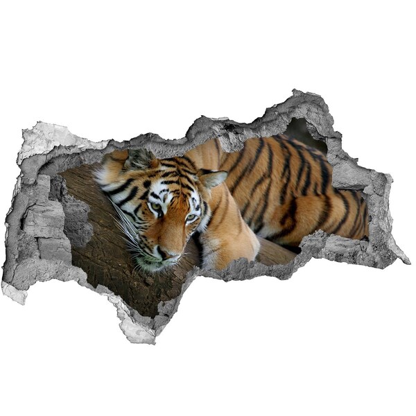 Pegatina decorativa agujero en la pared 3d Tigre en su hábitat natural