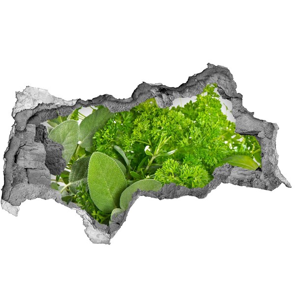 Fotomural autoadhesivo efecto agujero 3d Un oasis verde en hormigón