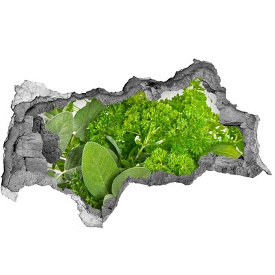 Fotomural autoadhesivo efecto agujero 3d Un oasis verde en hormigón