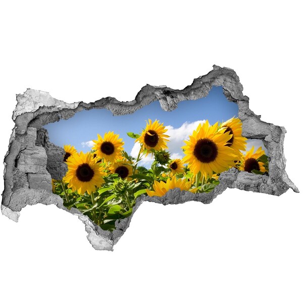 Fotomural autoadhesivo efecto agujero 3d Girasoles a la luz del día