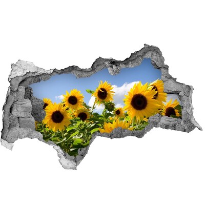 Fotomural autoadhesivo efecto agujero 3d Girasoles a la luz del día