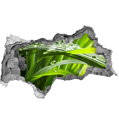 Vinilo efecto 3d pared rota irregular Prado verde con gotas de agua