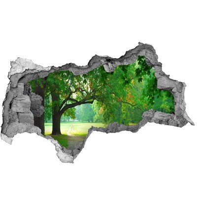 Vinilo efecto 3d pared rota irregular Parque verde bajo el sol