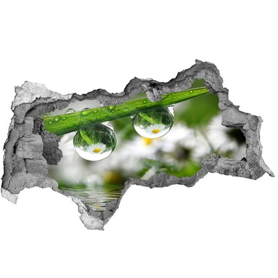 Pegatina decorativa agujero en la pared 3d Oasis floral con gotas de agua
