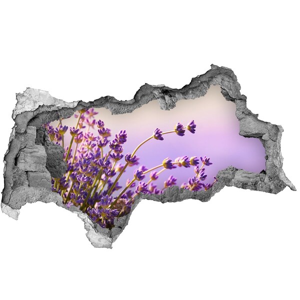 Fotomural autoadhesivo efecto agujero 3d Flores de lavanda a la luz de la mañana.