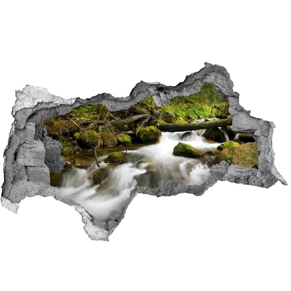Dziura 3d w ścianie naklejka Zielony strumień w lesie