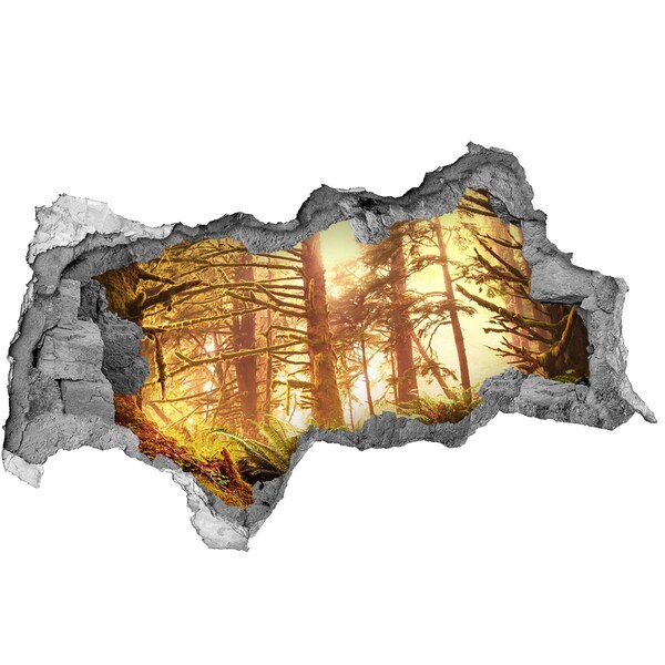 Vinilo efecto 3d pared rota irregular Un oasis forestal bajo el sol